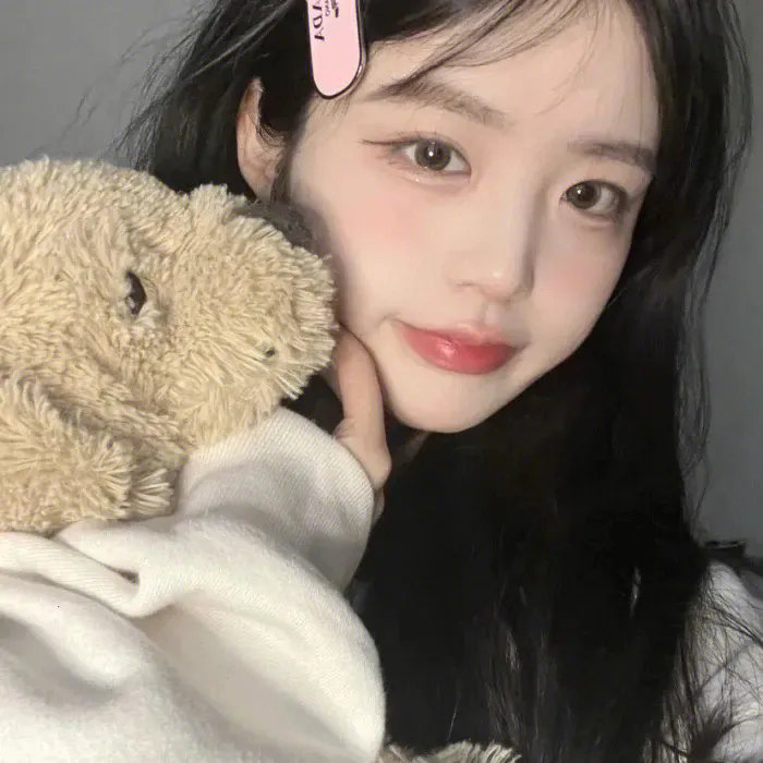 猫王艾维斯